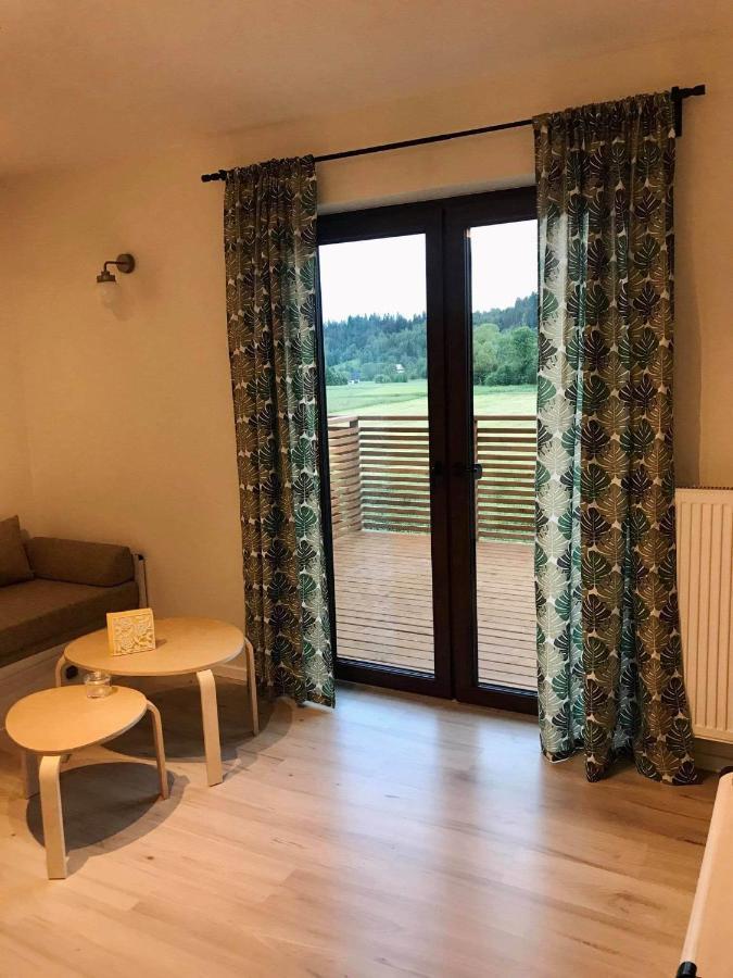 Apartament Przy Potoku Zubrzyca Gorna ภายนอก รูปภาพ