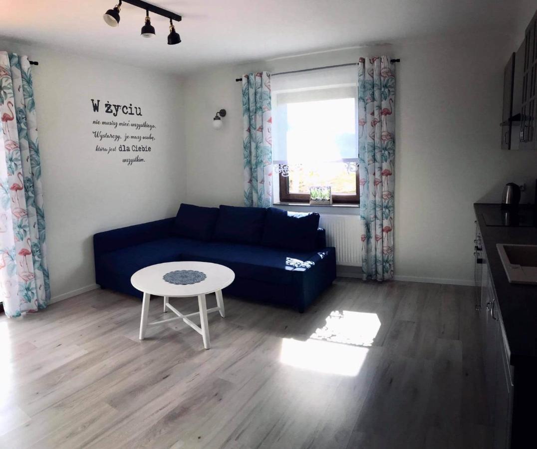 Apartament Przy Potoku Zubrzyca Gorna ภายนอก รูปภาพ